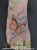 Realistic Orange and Black Butterfly on Foot with Smoke Sparkles